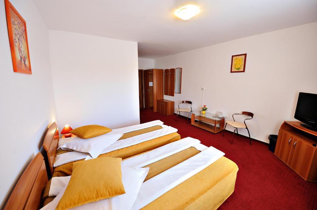 Motel Confort Floresti  Δωμάτιο φωτογραφία